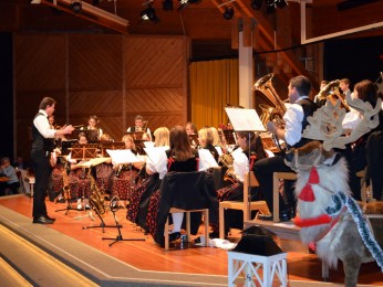 2011 Jahreskonzert Höchenschwand_20