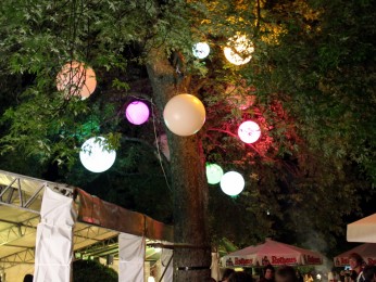 2011 Höchenschwander Sommertraum_196