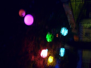 2011 Höchenschwander Sommertraum_105