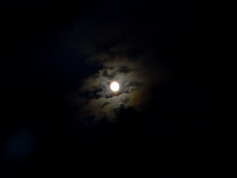 2013 Höchenschwander Sommertraum_14