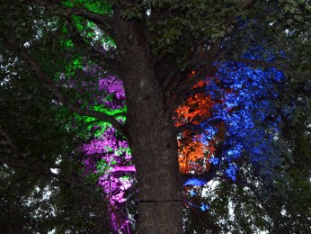 2013 Höchenschwander Sommertraum_27