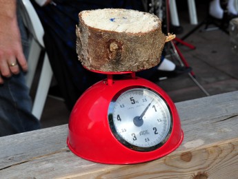 2013 Höchenschwander Sommertraum_54