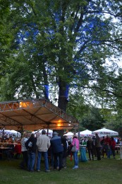 2015 Höchenschwander Sommertraum_28