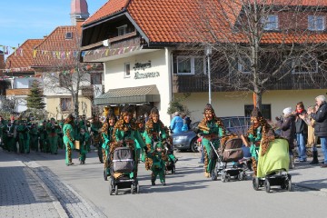 2017 Fasnachtsumzug Höchenschwand_21