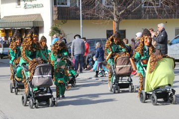 2017 Fasnachtsumzug Höchenschwand_22