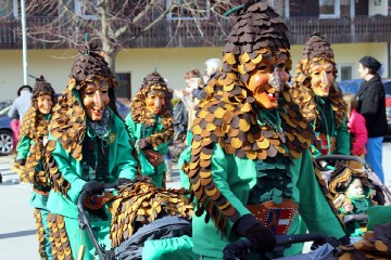 2017 Fasnachtsumzug Höchenschwand_24