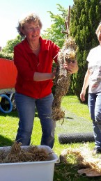 2017 Strohskulpturen_1