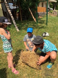 2017 Strohskulpturen_20