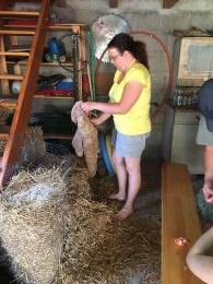 2017 Strohskulpturen_21