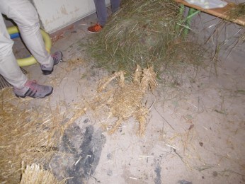 2017 Strohskulpturen_44